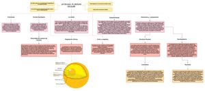 Diagrama Tema 8 1, Cesar Vera