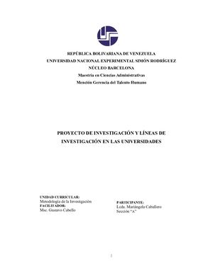 Proyecto De Investigacion Y Lineas De Investigacion