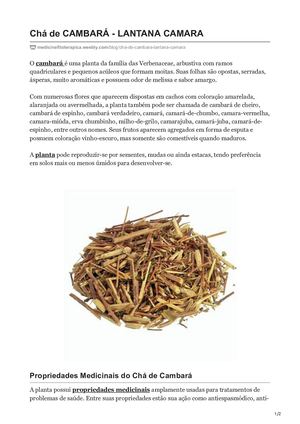 Chá De Cambará Lantana Camara