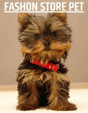 Fashon Store Pet