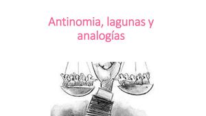 Antinomia, Lagunas Y Analogías