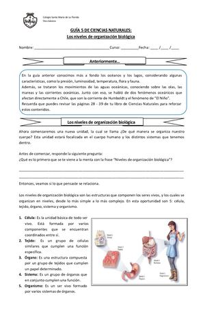 Guía de Ciencias Naturales