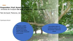 Platanos, Doina Ruști , Clasa A Viii A