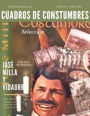 Cuadros De Costumbres