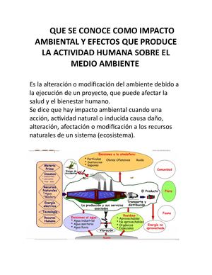 Impacto Ambiental