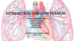 Interaccion Corazon Pulmon (1)