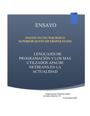 Ensayo Lenguaje De Programación Y Los Mas Utilizados Apache Netbeans En La Actualidad