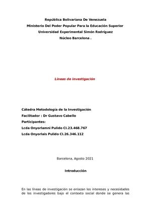 Lineas De Investigación Pulido