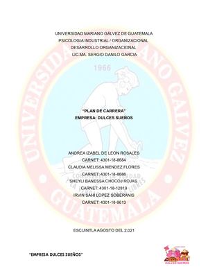 Plan De Carrera