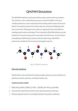 QM/MM Simulation