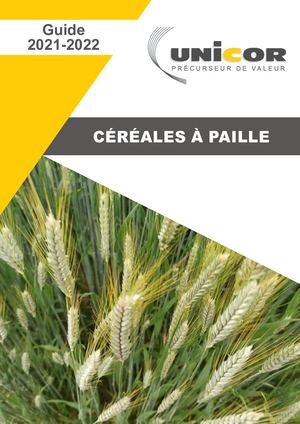 Plaquette Cereales A Pailles Bd