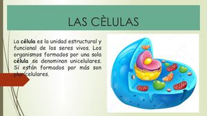 La Celula