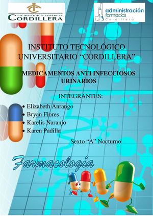 Medicamentos Antiinfecciosos Urinarios