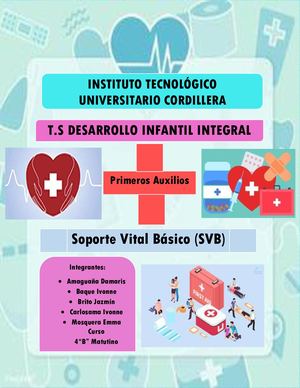 Soporte Vital Básico (SVB)