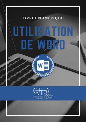 Capsule Numérique Word