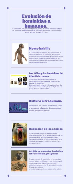 Infografia Segunda Serie Parcial