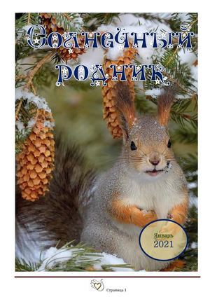 Солнечный родник Январь 2021