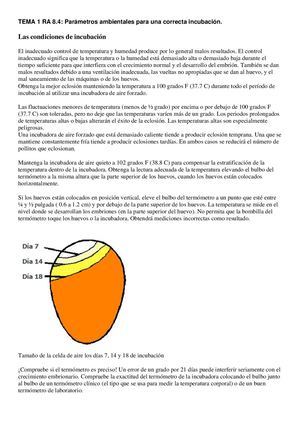 TEMA 1 RA 8 4