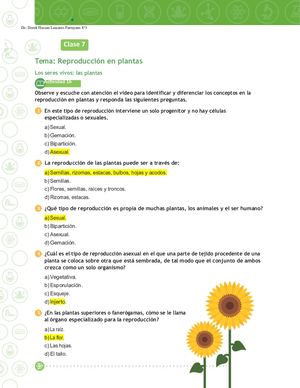 Cien 8 B3 P3 Est Convertido