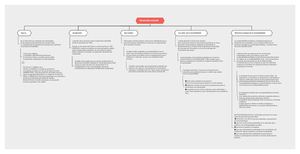 Mapa Conceptual