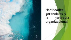 Habilidades Gerenciales