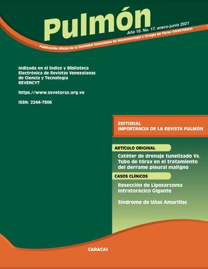 Pulmón Volumen 17 Sovetorax