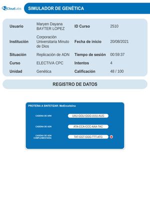 Reporte Replicación ADN Pdf