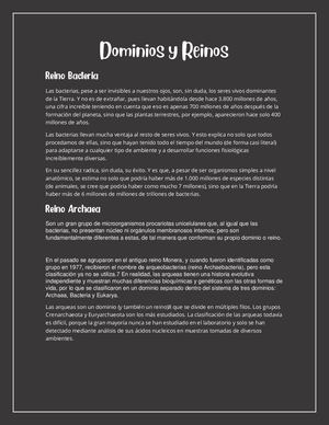 Dominios Y Reinos