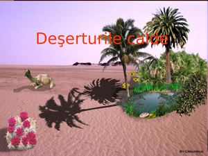 Deșerturile Calde