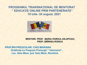 Mentorat Proiect Universul Chiș Mariana