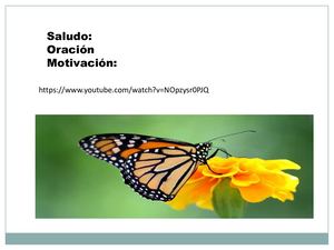 Invertebrados: tema 1