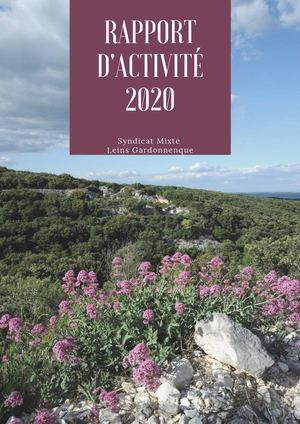 Rapport D'activité 2020