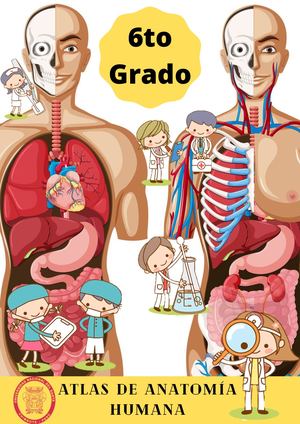Atlas Del Cuerpo Humano (4)