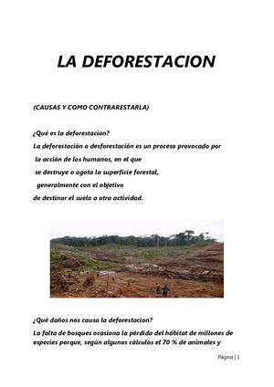 TEXTO DE DEFORESTACION