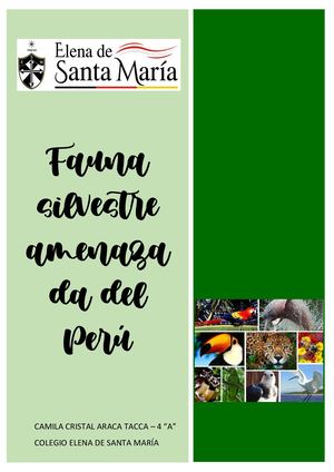 Fauna Silvestre Amenazada Del Perú