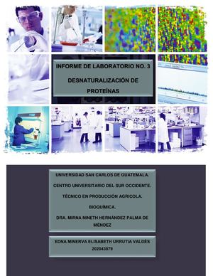 Informe 3 Desnaturalización De Proteínas