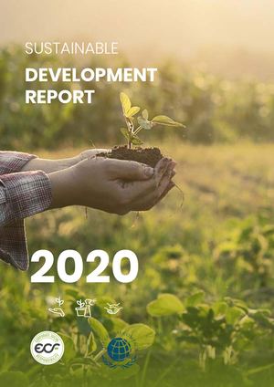 Rapport Dd 2021 En New Version