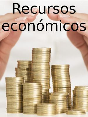 Recursos Económicos