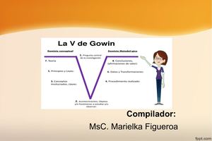 V De Gowin Origen Pasos