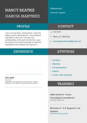 Curriculum Vitae en Ingles PDF