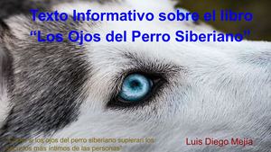 Texto Informativo Del Libro Los Ojos Del Perro Siberiano