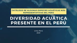 Catálogo De Las Especies Marinas Más Representativas Del Perú (6)
