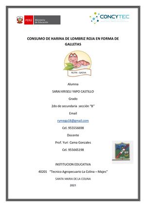 Proyecto Galletas De Harina De Lombriz De Tierra Completo Convertido