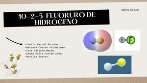 10- 2- 5 Fluoruro De Hidrogeno