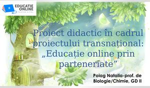 Subiectul Lecției Păsările