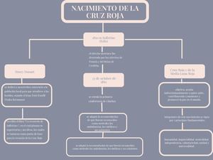Cruz Roja Mapa Conceptual