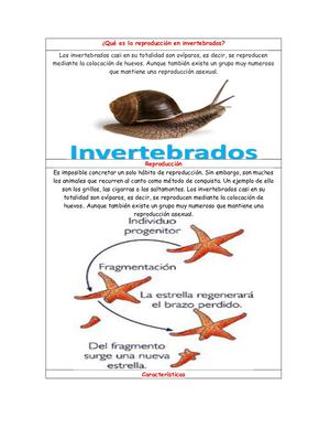 Matriz Reproduccion En Invertbrados Y Vertebrados Mariana Morelo