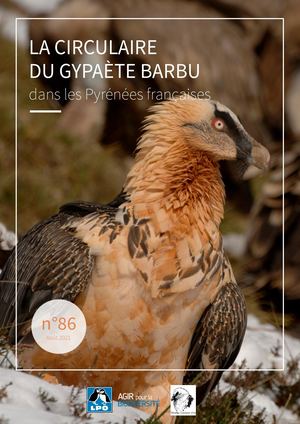 Circulaire Gypaète barbu 09/2021