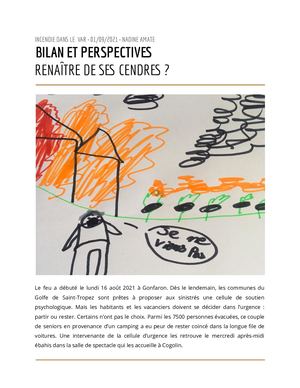 Nadine Amate • Cellule Psychologique Incendie Du Var • Bilan & Perspectives • Art & Stress post-traumatique