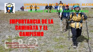 IMPORTANCIA DE LA CAMINATA Y EL CAMPISMO